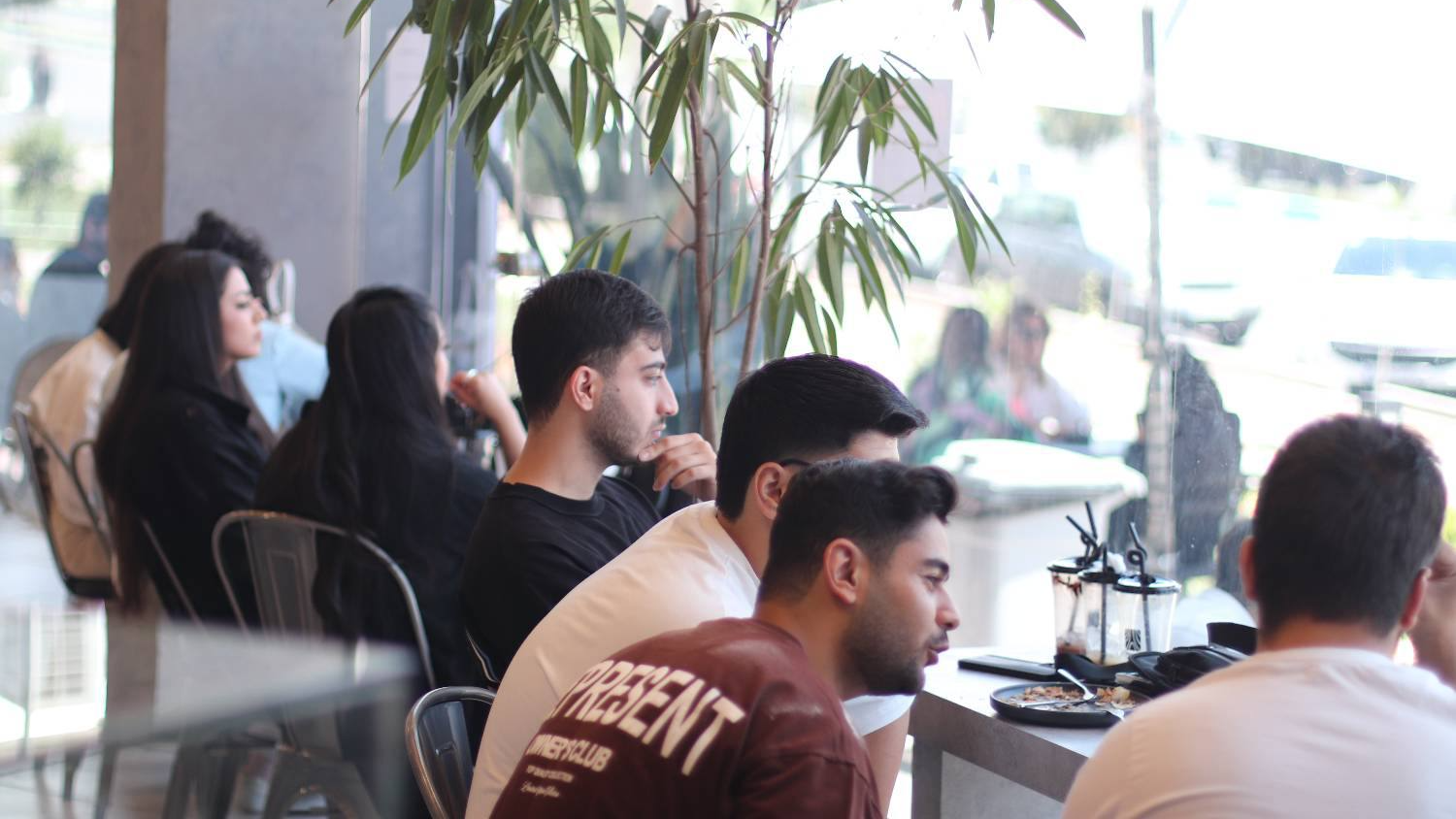 میلفوی، تصویر 4